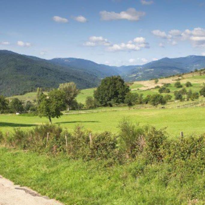 Agreable Maison De Village Avec Balcon Roiffieux Esterno foto